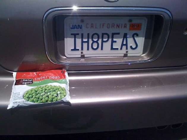 funny wife pranks jokes
