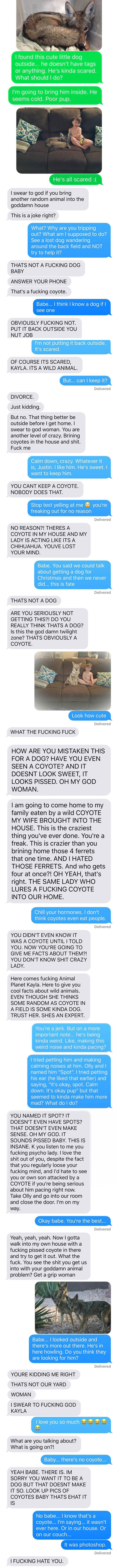 funny wife pranks jokes