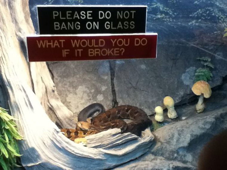 funny-zoo-signs