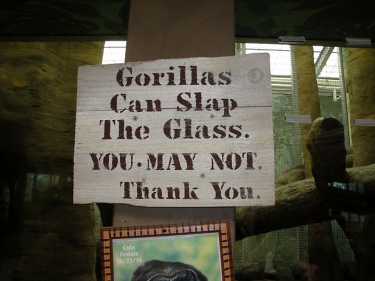 funny-zoo-signs