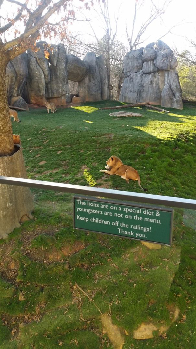 funny-zoo-signs
