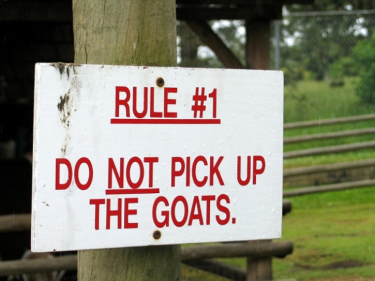 funny-zoo-signs