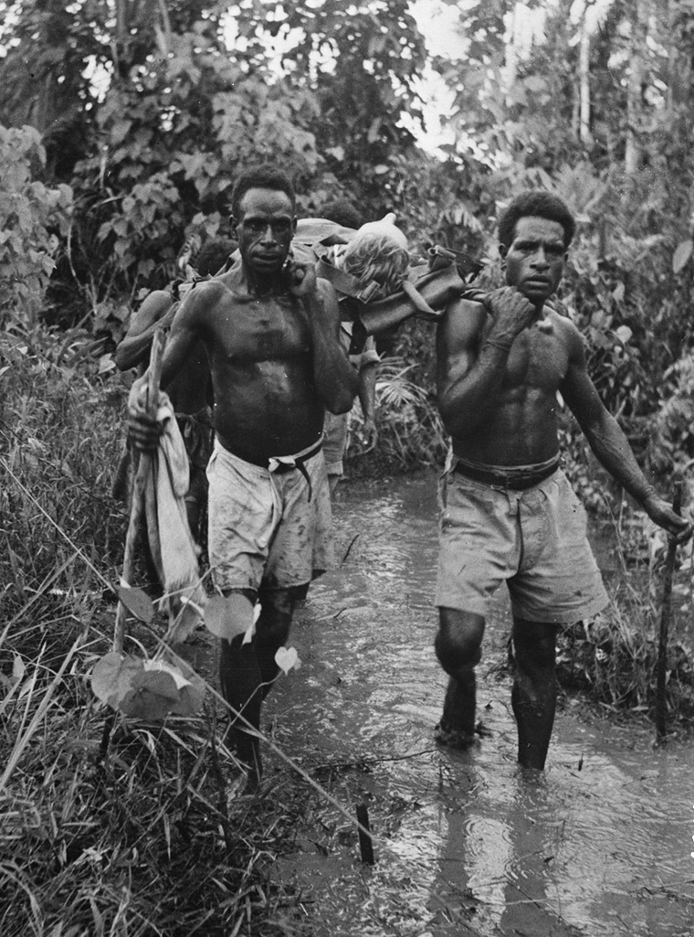 fuzzy-wuzzy-angels-new-guinea