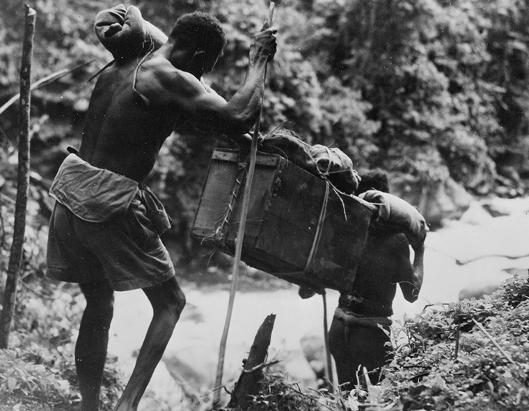 fuzzy-wuzzy-angels-new-guinea
