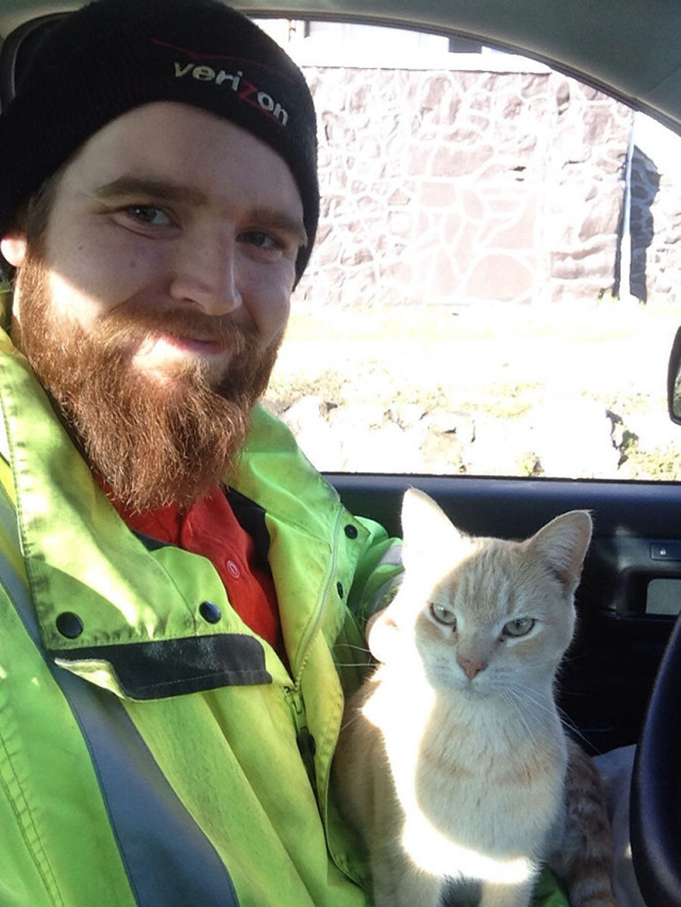 best i dont own cat moments