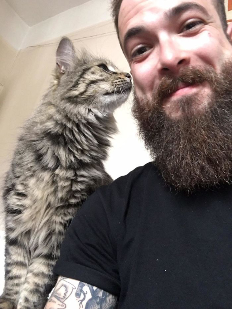 best i dont own cat moments