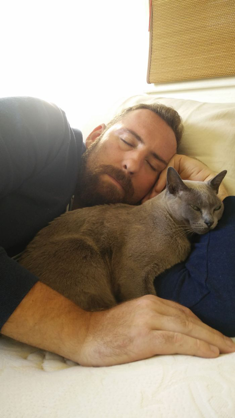 best i dont own cat moments