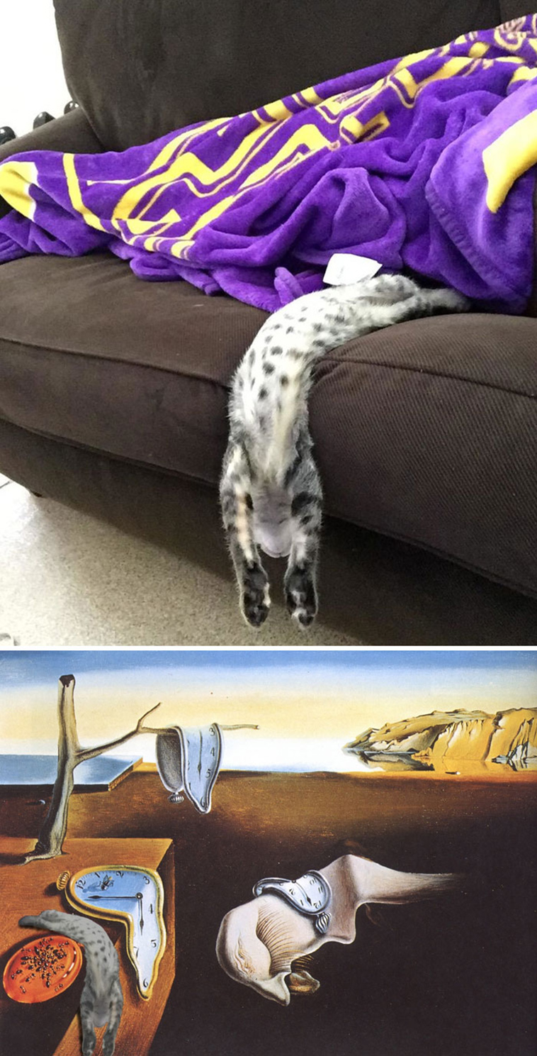 photoshop-battles