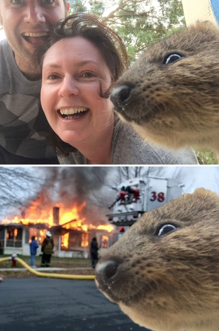 photoshop-battles