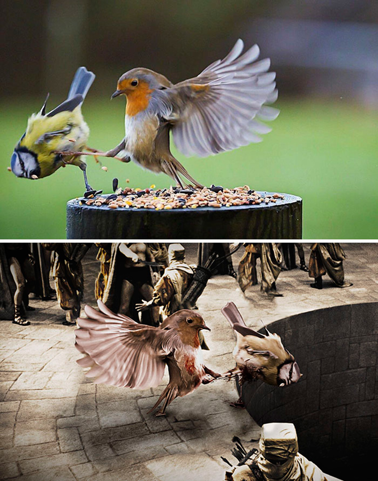 photoshop-battles