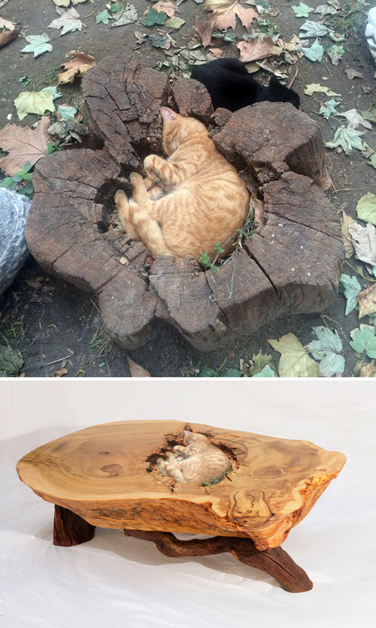 photoshop-battles