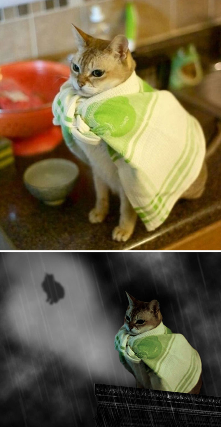 photoshop-battles