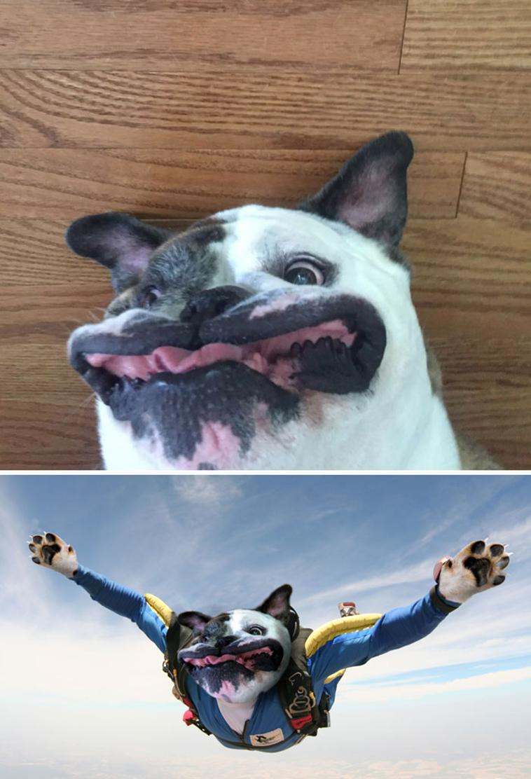 photoshop-battles