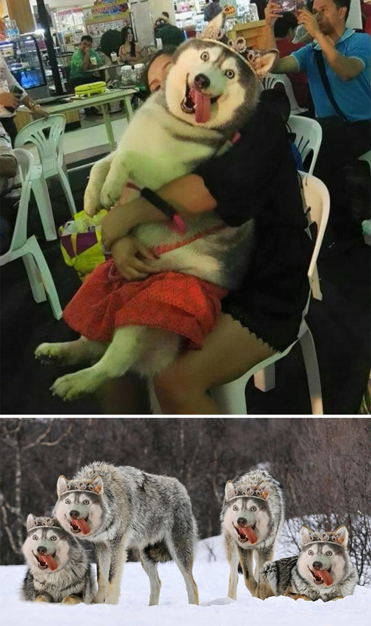 photoshop-battles