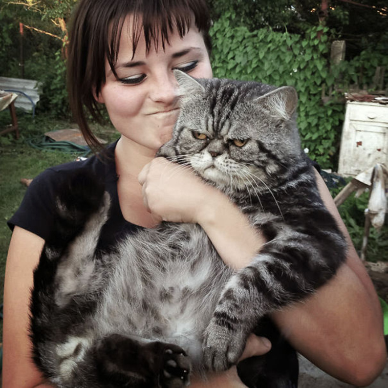 cats-hate-selfies