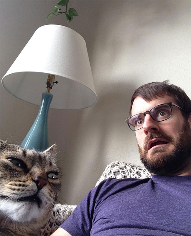 cats-hate-selfies