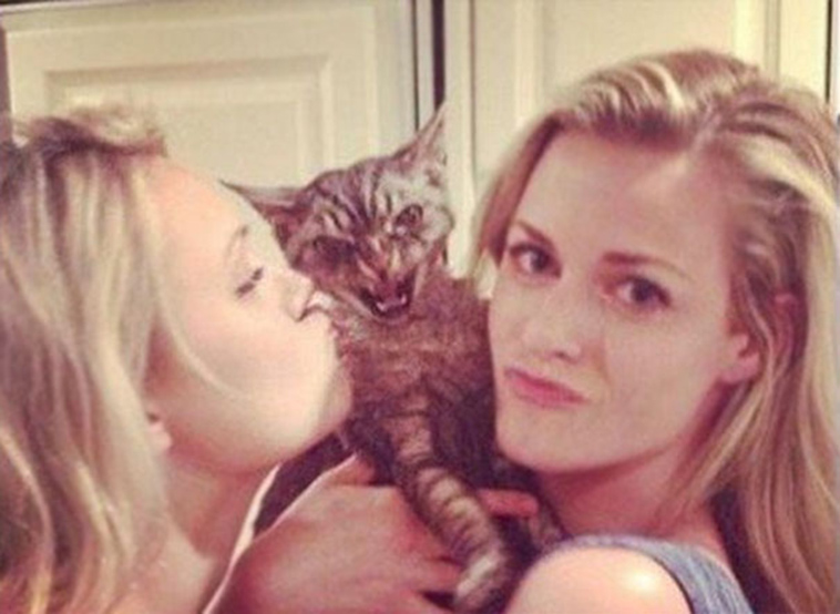 cats-hate-selfies