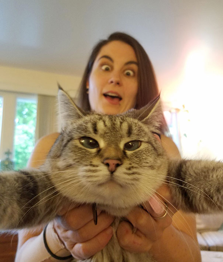 cats-hate-selfies