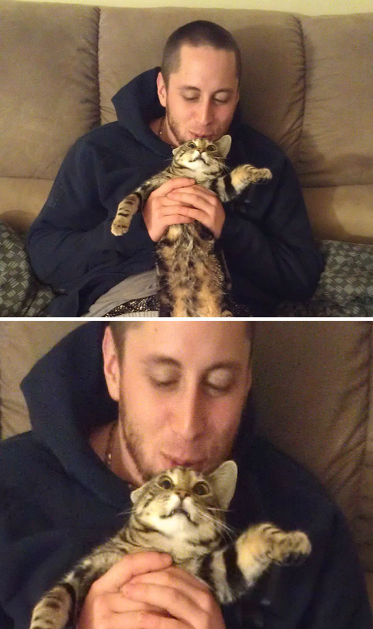 cats-hate-selfies