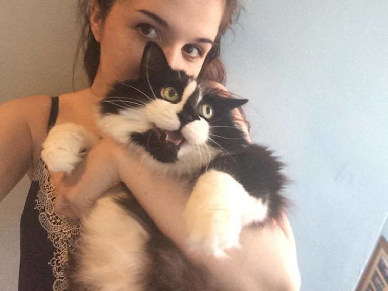 cats-hate-selfies