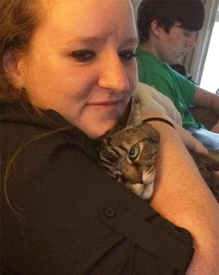 cats-hate-selfies
