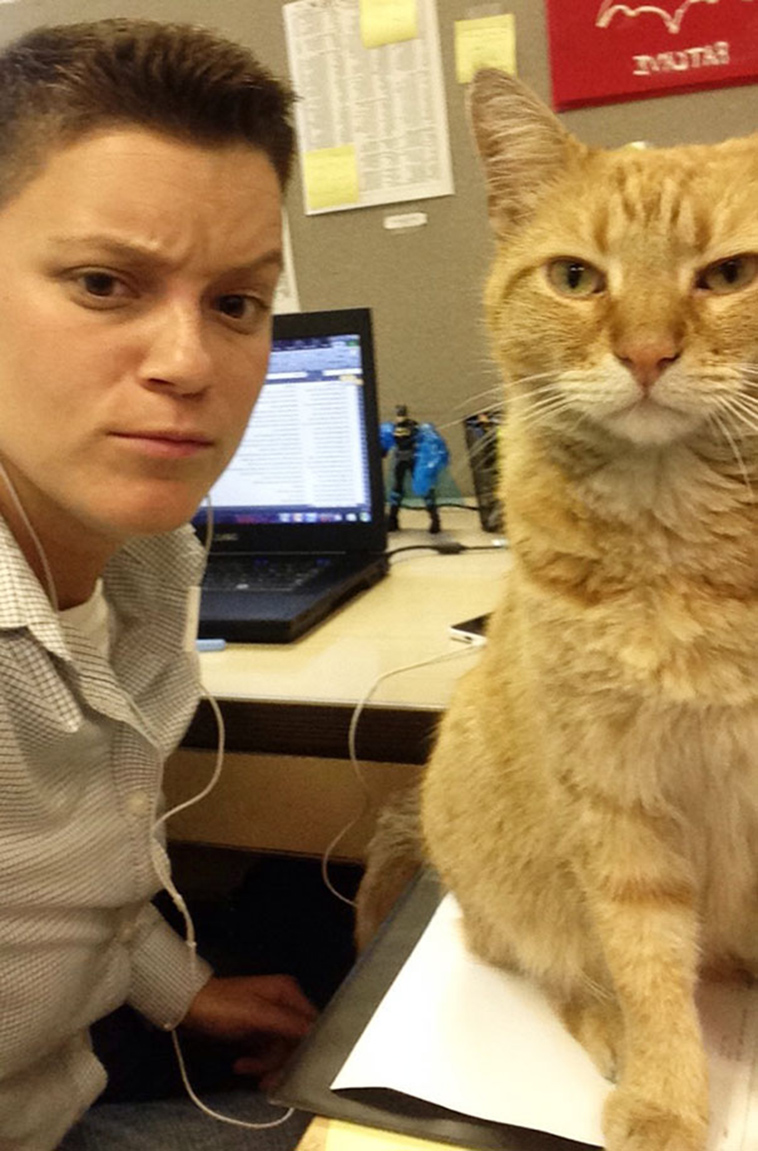 cats-hate-selfies