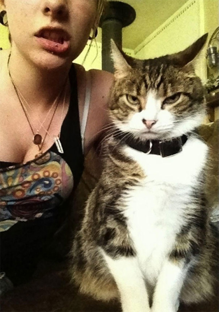 cats-hate-selfies