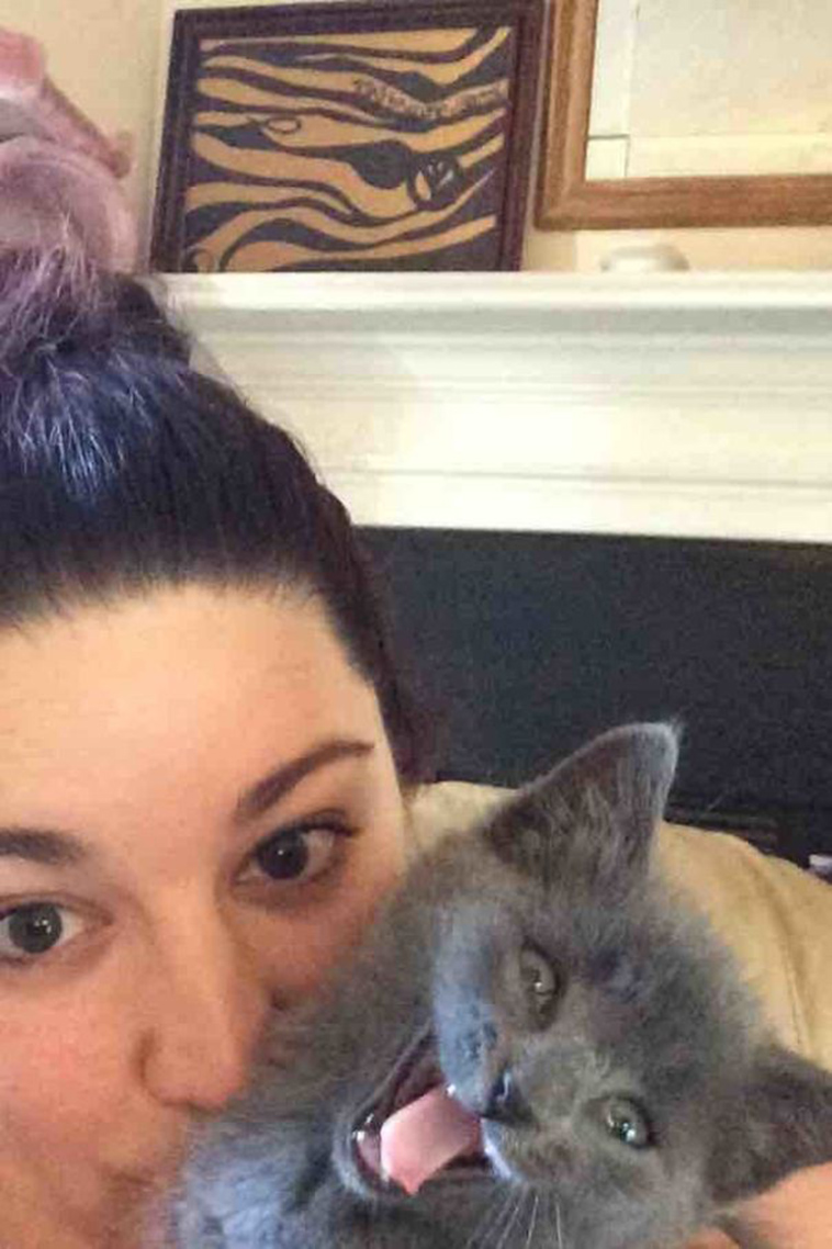 cats-hate-selfies