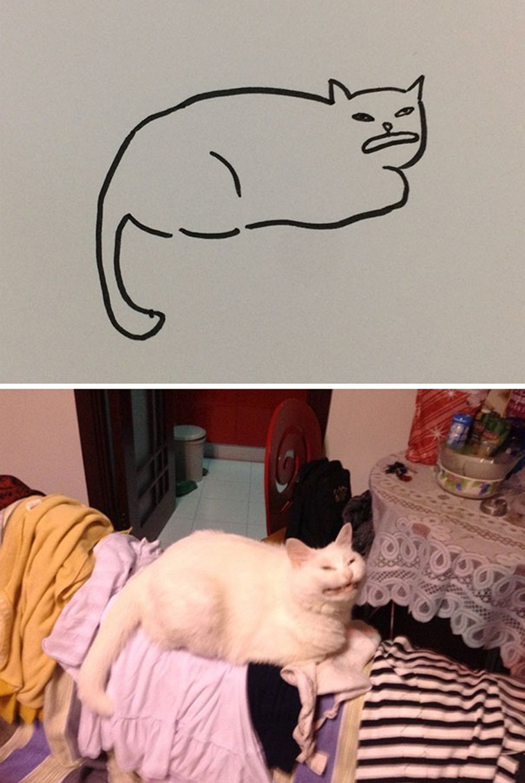 funny-poorly-drawn-cats
