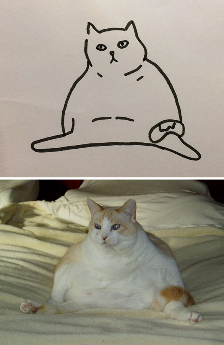 funny-poorly-drawn-cats