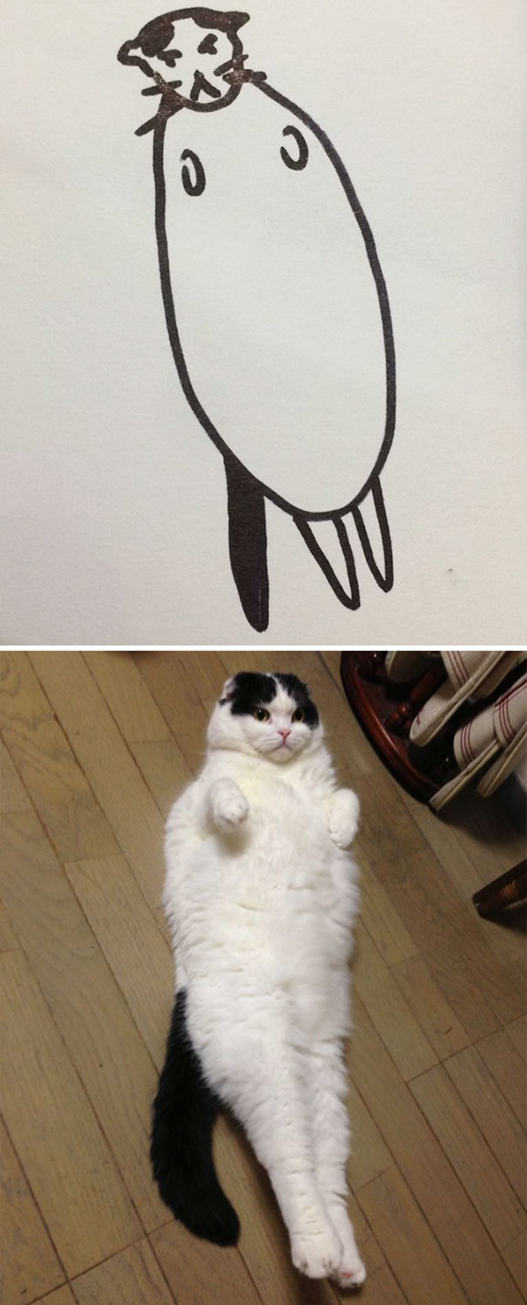 funny-poorly-drawn-cats