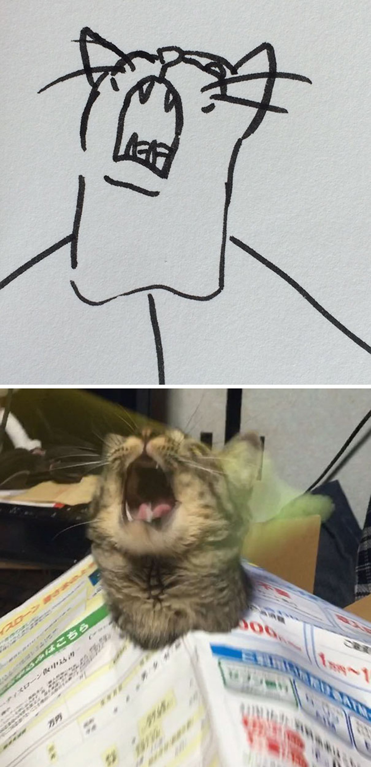 funny-poorly-drawn-cats