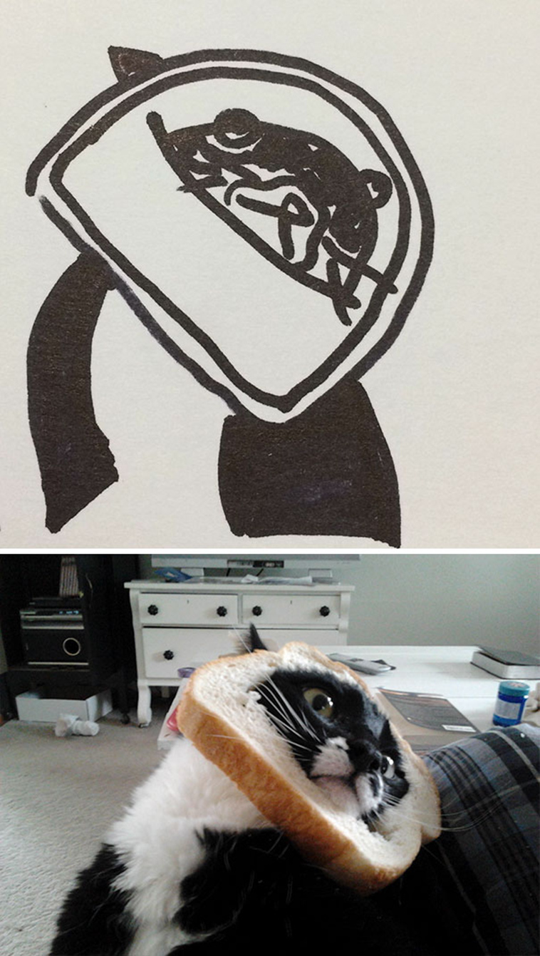 funny-poorly-drawn-cats