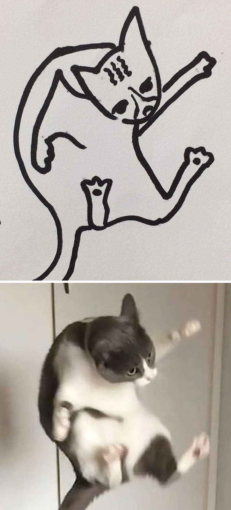 funny-poorly-drawn-cats