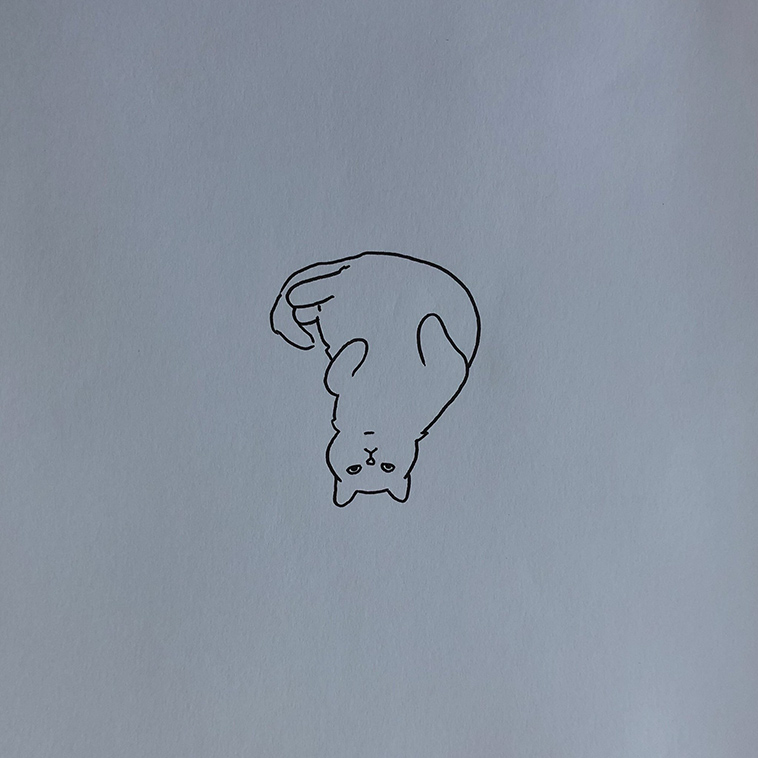 poorly drawn cats