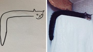 funny-poorly-drawn-cats