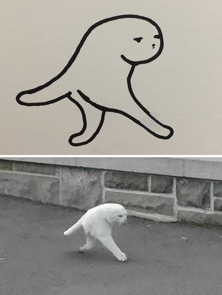 funny-poorly-drawn-cats