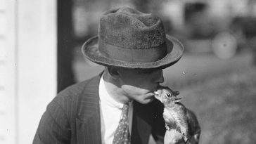 squirrels-were-america’s-popular-pets
