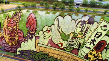 Rice-Fields-Colorful-Drawings-Japan