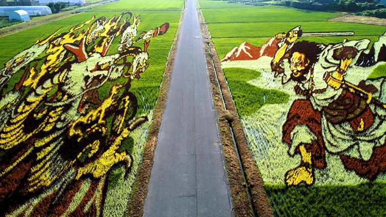 Rice-Fields-Colorful-Drawings-Japan