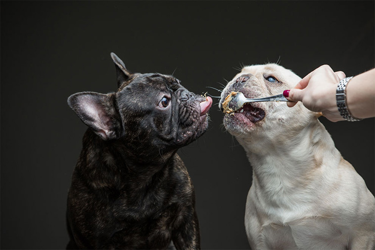 Love Of Peanut Butter