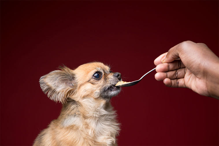 Love Of Peanut Butter