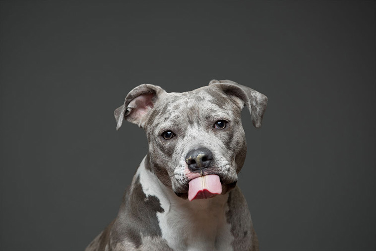 Love Of Peanut Butter