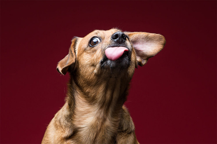 Love Of Peanut Butter