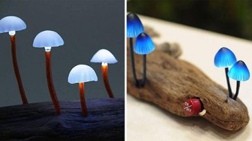 Magic Mushrooms That Turn Your Room Into A Glowing Forest