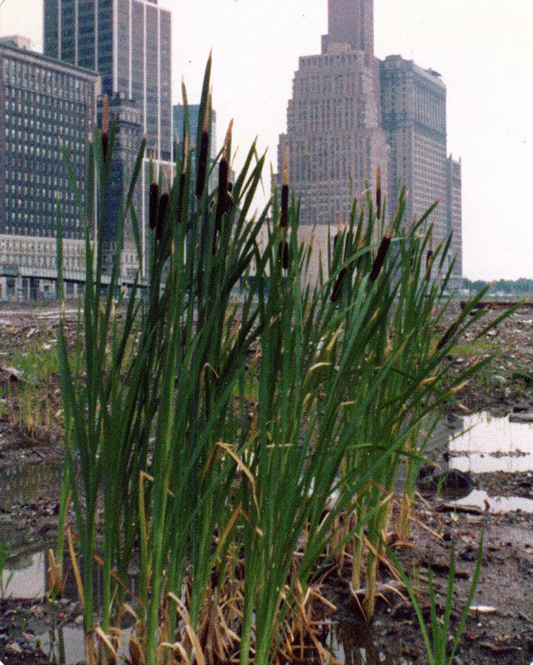 New York In The 1970s 