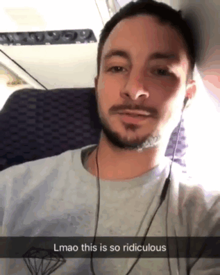 animals on a plane