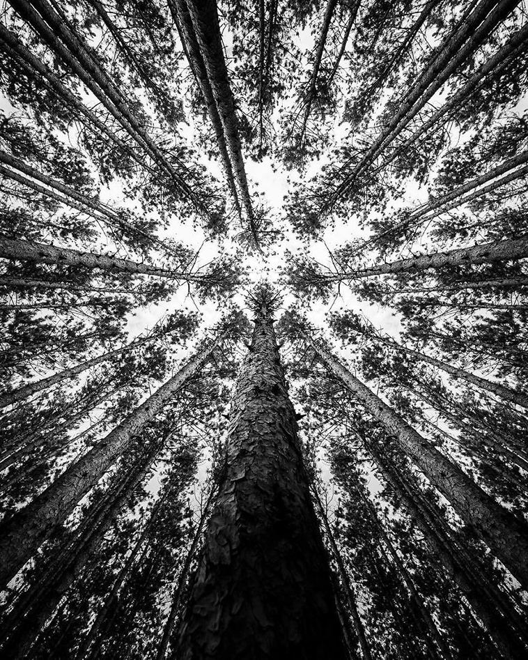 black white photography jason peterson