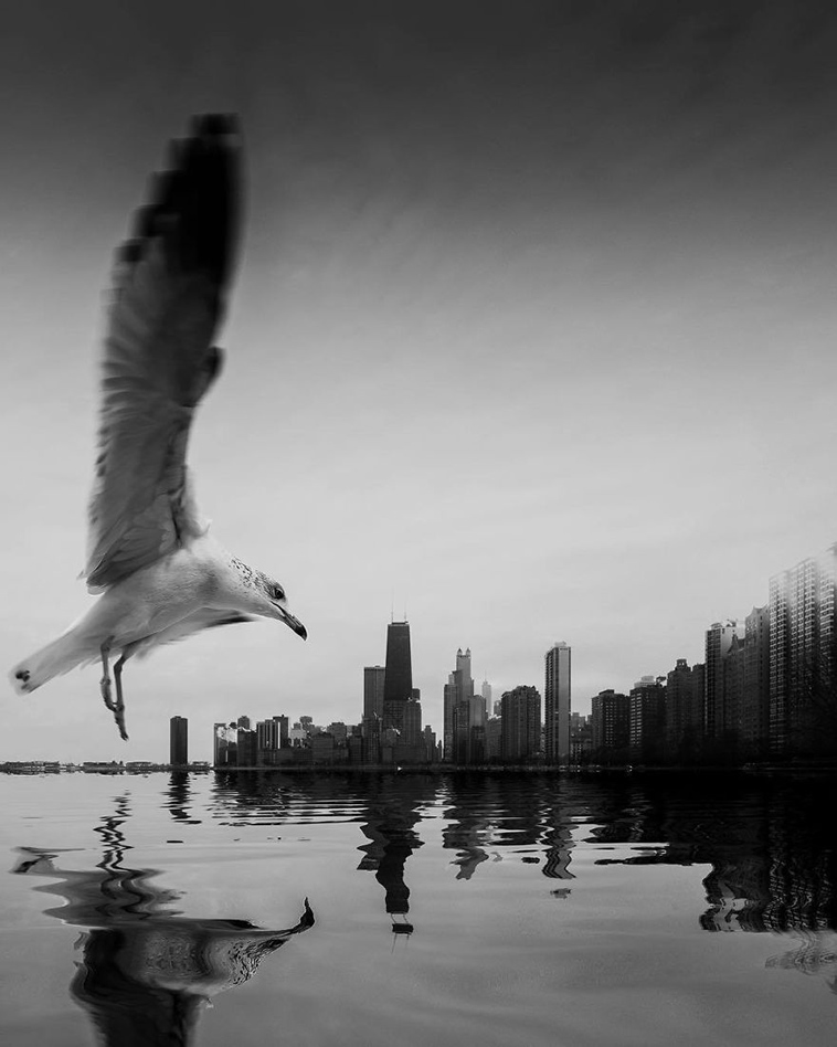 black white photography jason peterson
