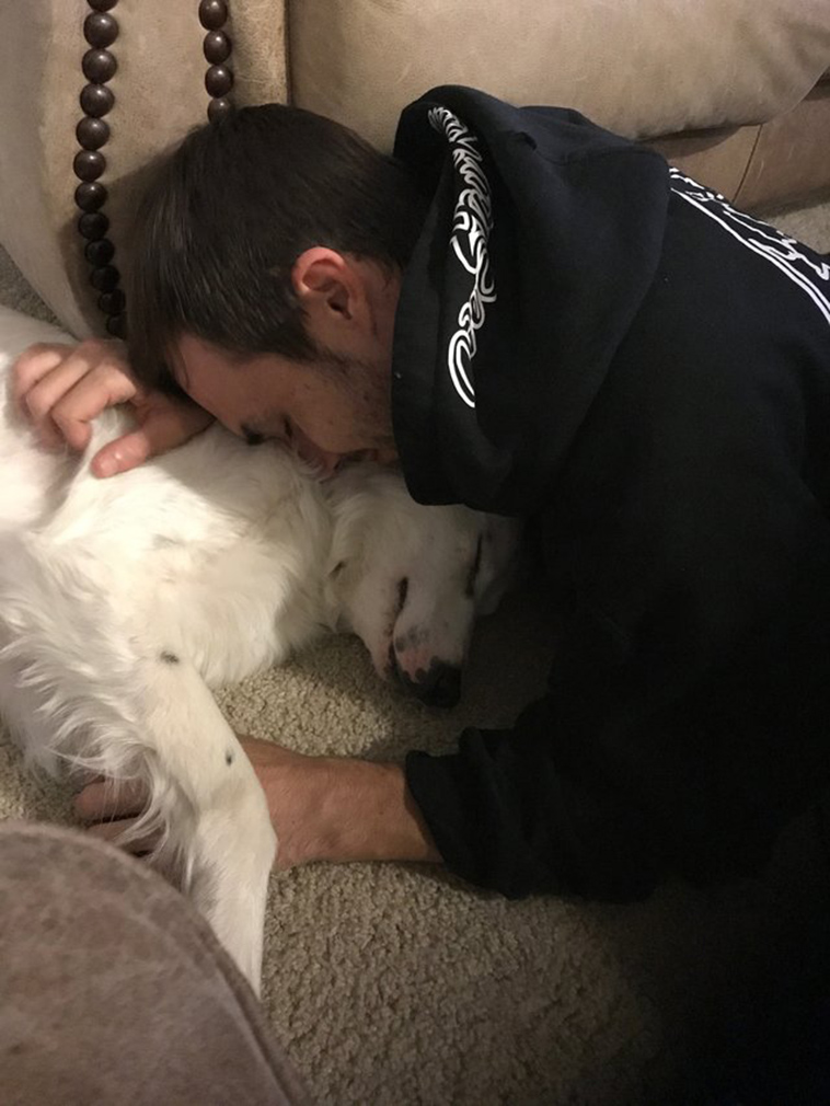 border collie cuddles new dad